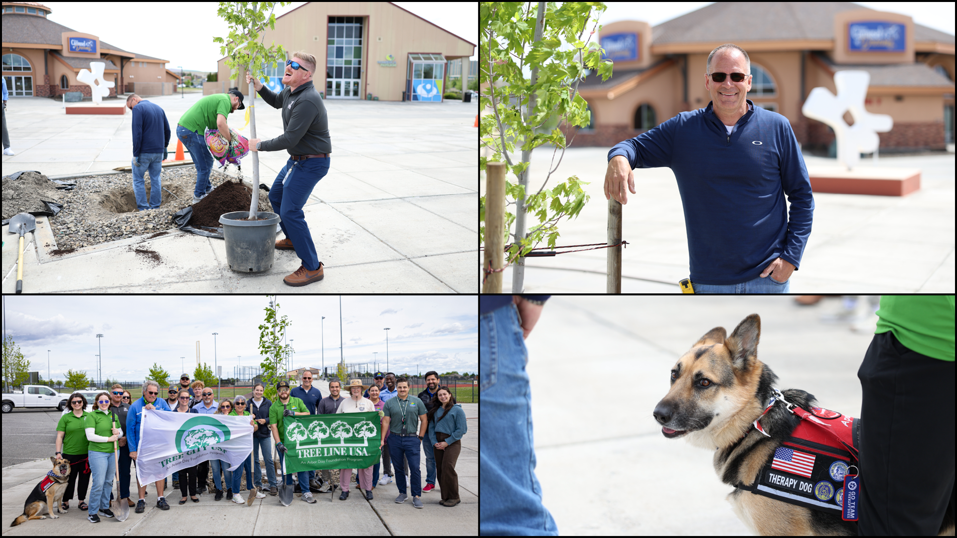 Arbor Day 2025
