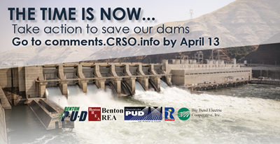 Your voice matters - help save the lower Snake River Dams