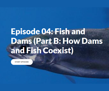 4B-FIsh-Dams-How-Dams-Fish-Coexist-(1).png