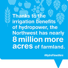 Hydropower-Flows-Here-Infographic_Social-Post_Irrigation-220.jpg