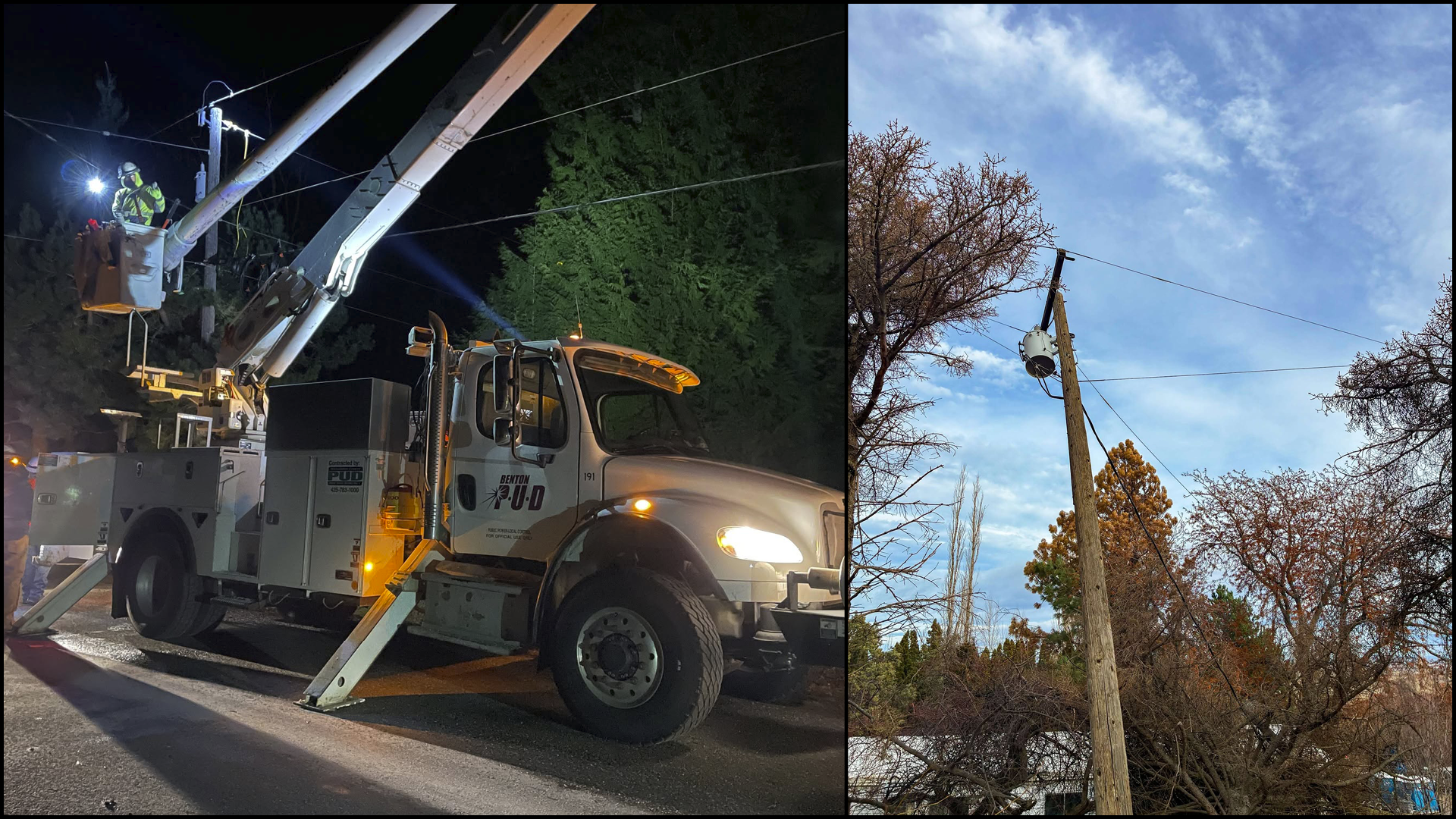 Tree & Power Line Safety